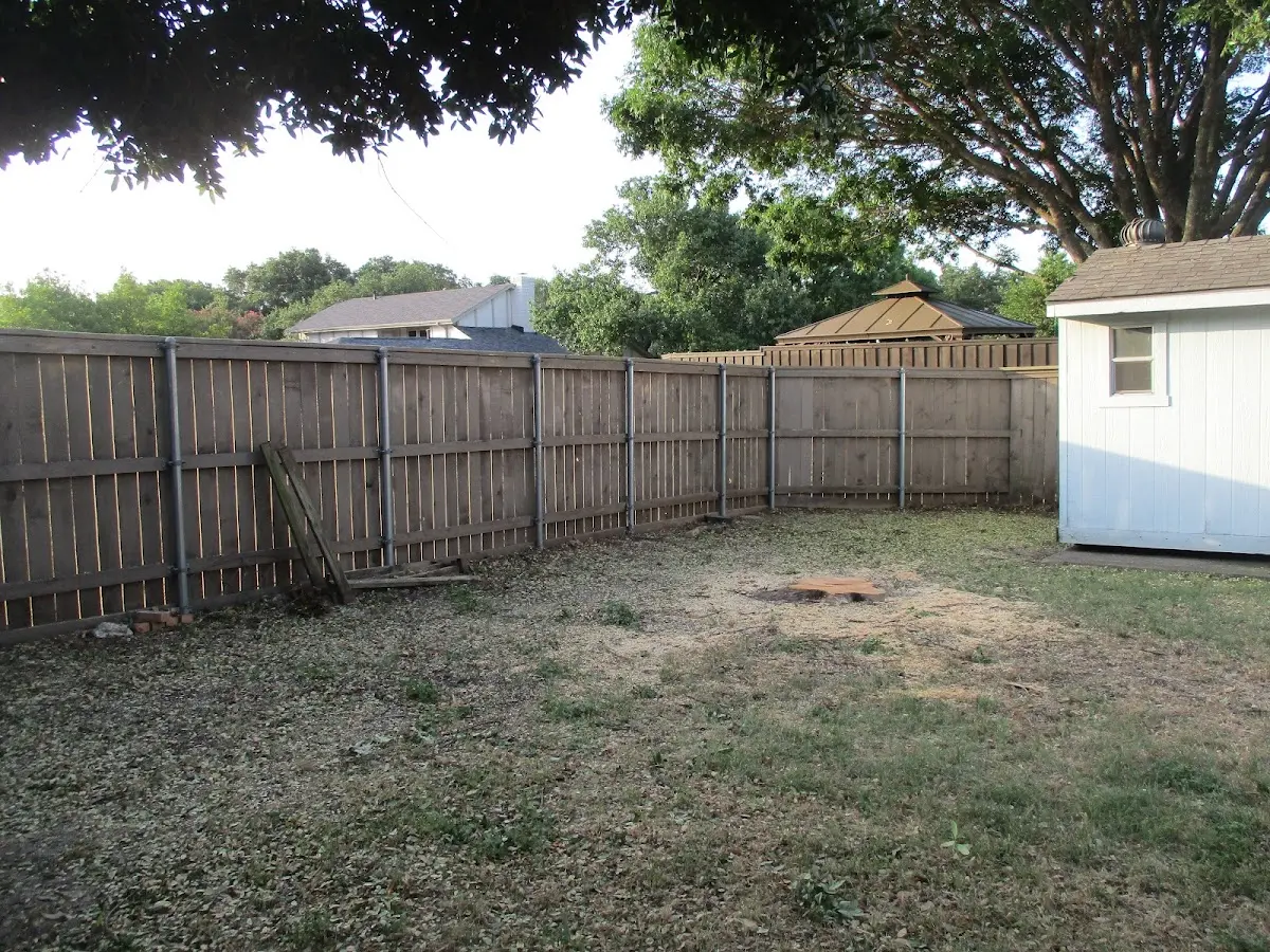 Cleared yard after professional tree removal in Red Bay